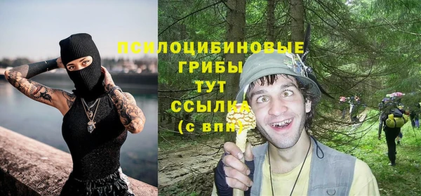 дмт Алзамай